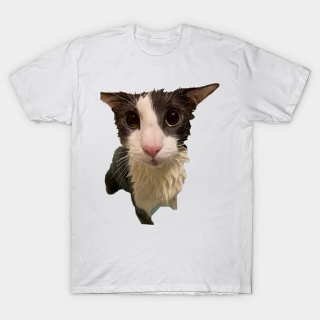 Soggy Cat T-Shirt by Trendy-Now